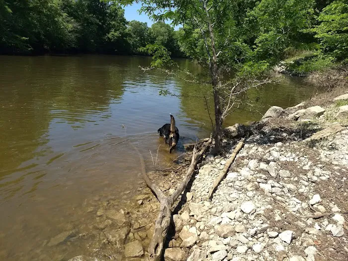 Beech Bend Park Picture 4