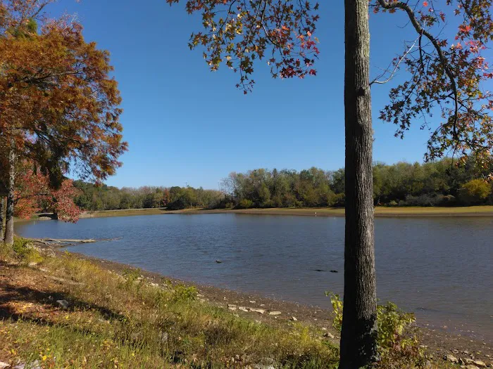 Beech Bend Park Picture 8