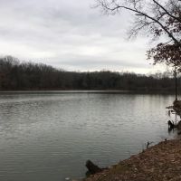 Cypress Creek Marina & Grill ico