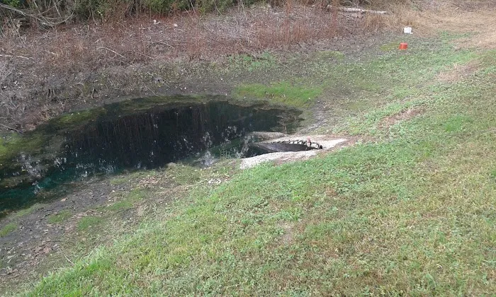 Emerald Pointe RV Resort Picture 9