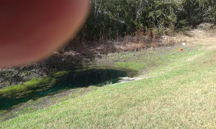 Emerald Pointe RV Resort Picture 8