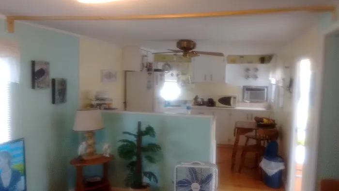 Palm Shores Mobile Village Picture 1