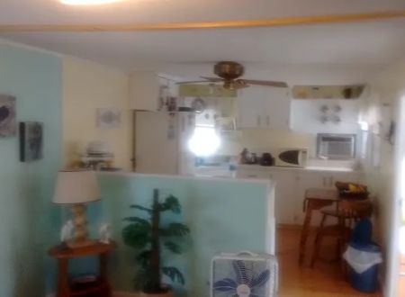 Palm Shores Mobile Village