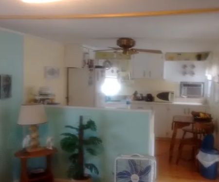 Palm Shores Mobile Village