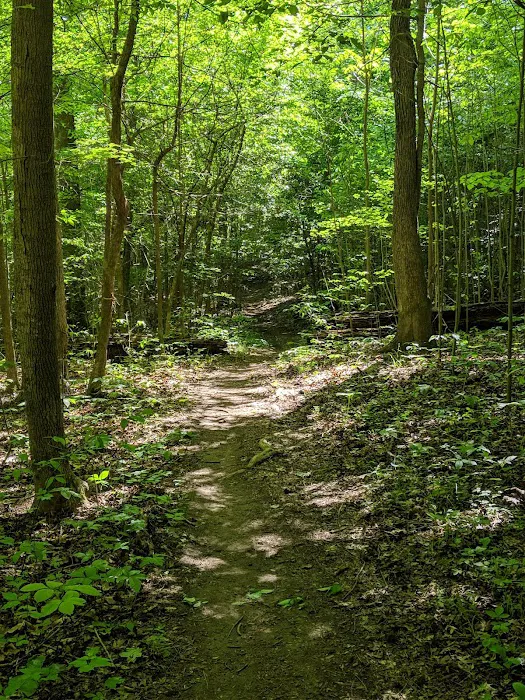 Twin Lakes Camp Picture 10