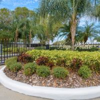 Kings Pointe ico