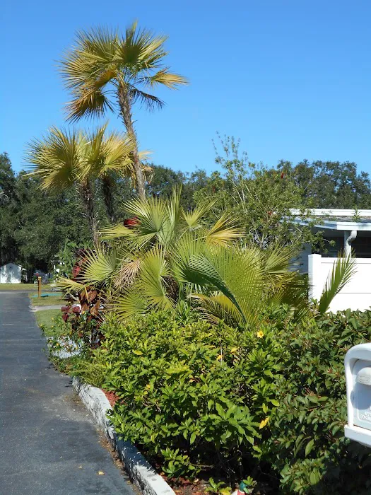 Leisure Homes Mobile Home Park Picture 7