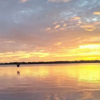 Ripley's Sunrise Cove ico