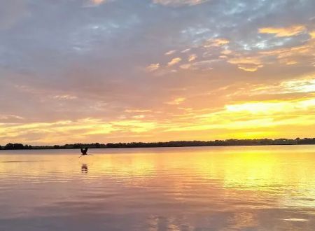 Ripley's Sunrise Cove