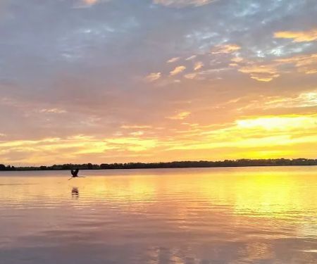 Ripley's Sunrise Cove