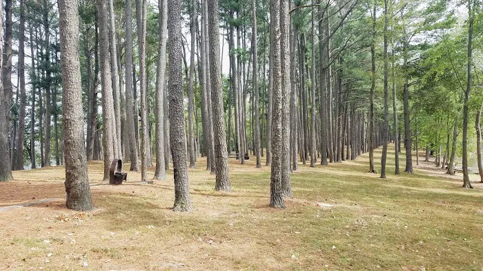 South Marcum Campground Picture 9