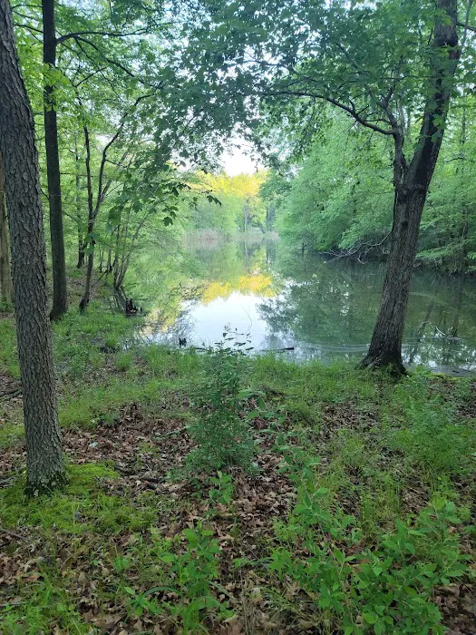 South Marcum Campground Picture 8