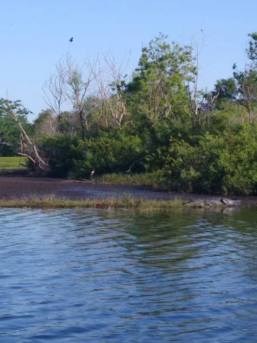 Jade Isle MHC Picture 7
