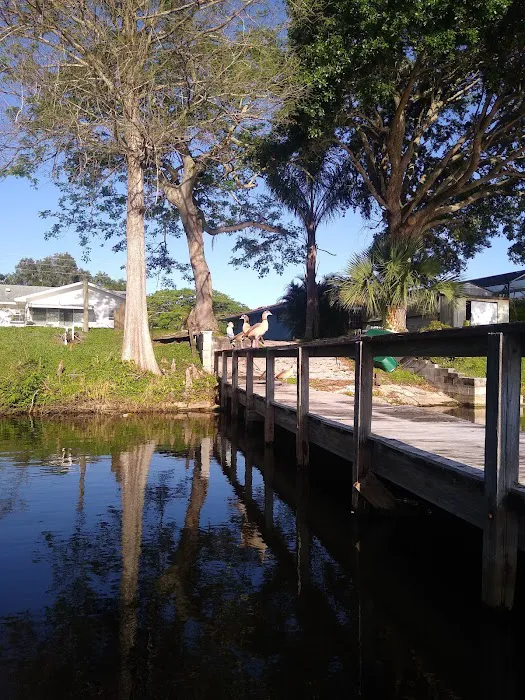 Jade Isle MHC Picture 6