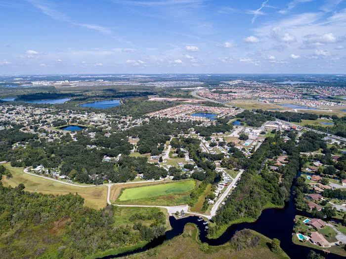 Floridian Sandalwood Picture 6