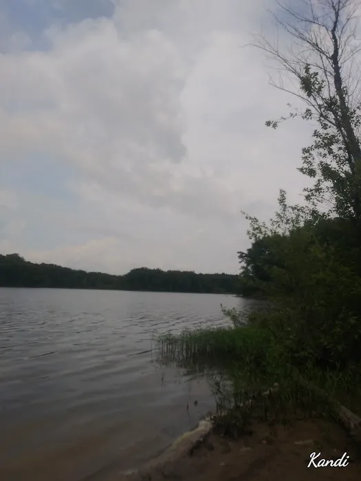 Beaver Lodge Picture 2