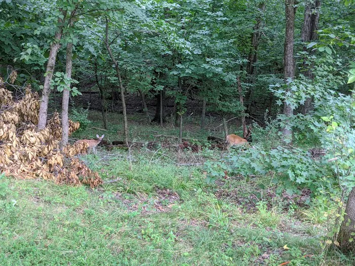 South Marcum Recreational Area Picture 2