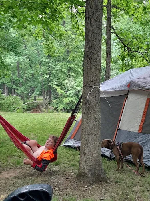 Lake Murphysboro Camping Picture 8