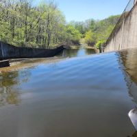 Lake Murphysboro Camping ico