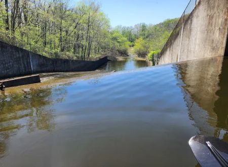 Lake Murphysboro Camping