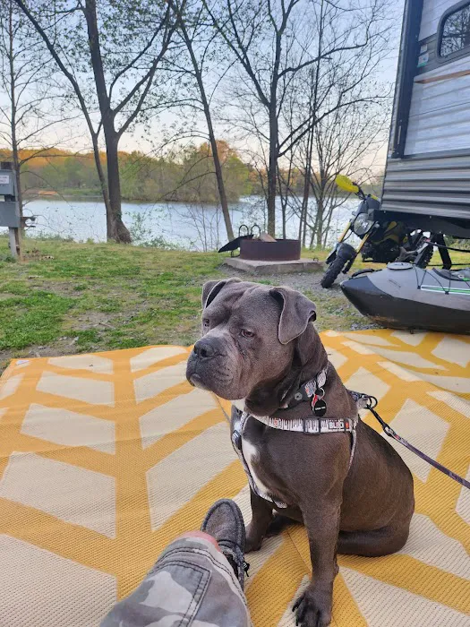 Lake Murphysboro Camping Picture 6