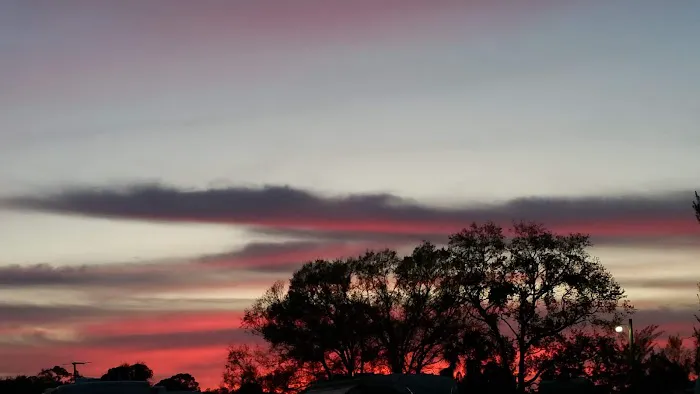 Space Coast RV Resort Picture 6