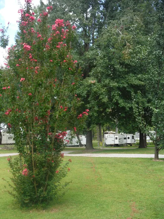 Old Bates Campground Picture 10