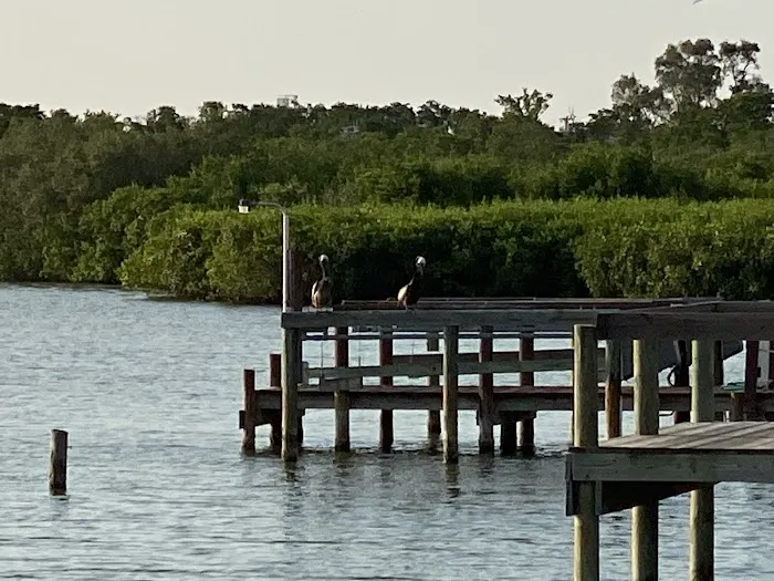 Carver's Cove RV Resort Picture 9