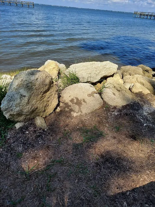 Sea Shell RV Park Picture 3