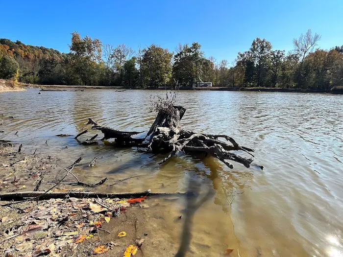 Turkey Bayou Picture 8