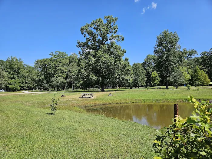 Turkey Bayou Picture 6
