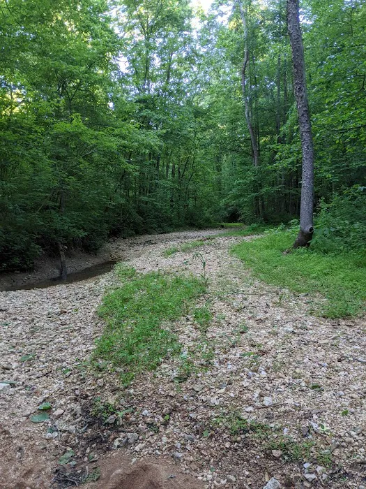 Pine Hills Campground Picture 10