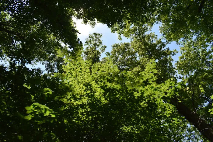Pine Hills Campground Picture 1