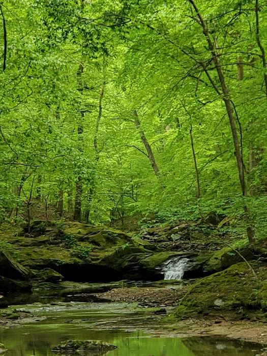 Sharp Rock Falls Rec Inc Picture 3