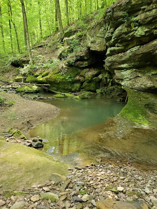 Sharp Rock Falls Rec Inc Picture 5