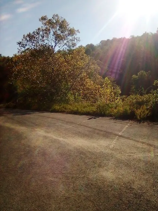 Johnson Creek Recreation Area Picture 8