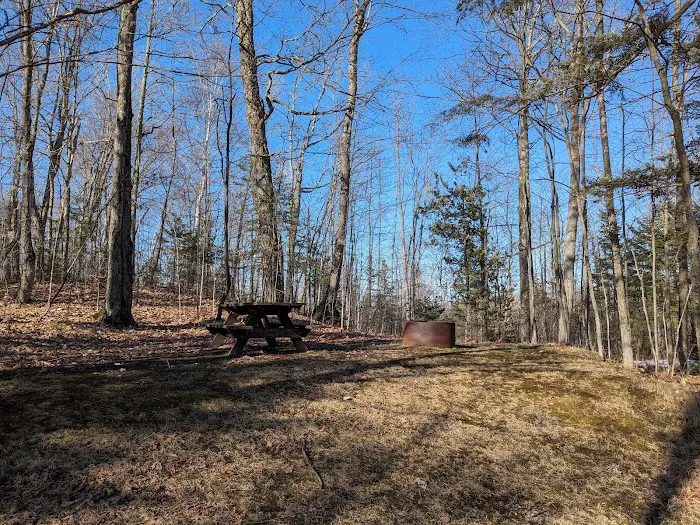 Milakokia Lake Campground Picture 8