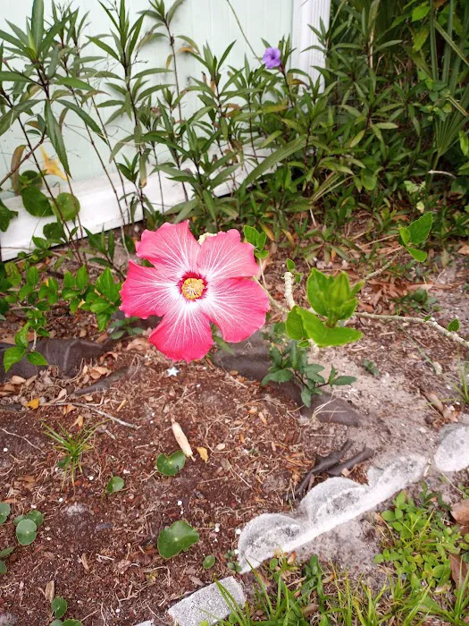 Holiday Village - Ormond Beach Picture 8
