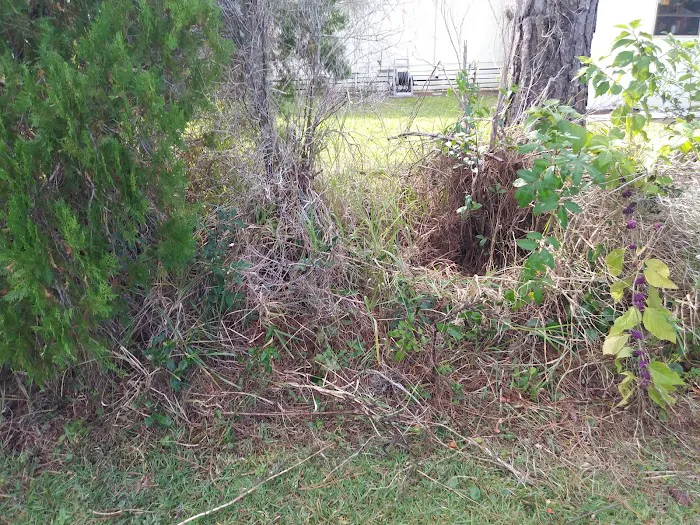 Holiday Village - Ormond Beach Picture 10