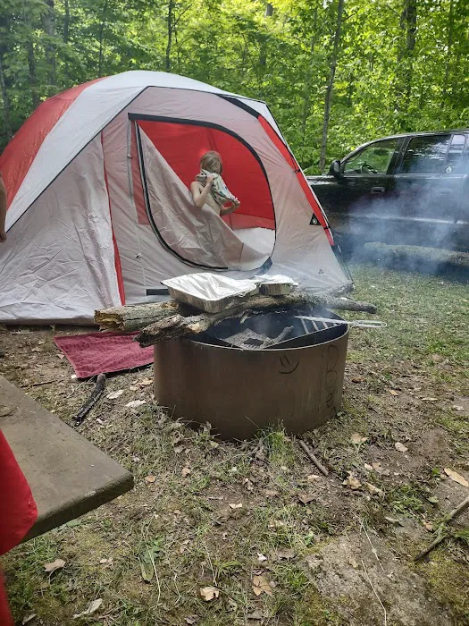 South Manistique Lake Campground Picture 10