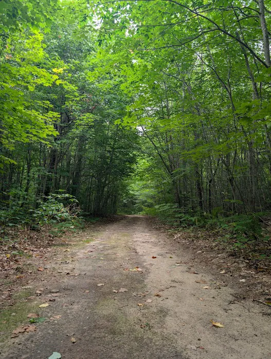 Kritters Campground Picture 6