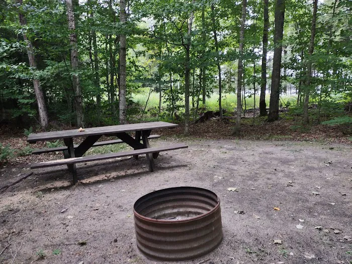 Bass Lake State Forest Campground (Luce) Picture 3