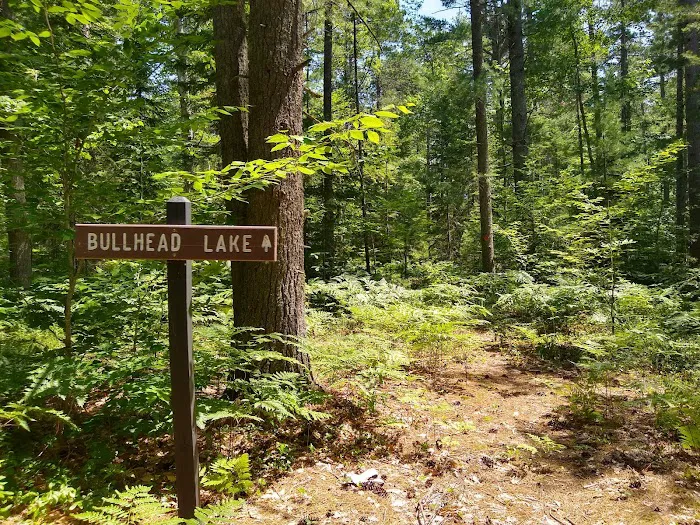 Pretty Lake State Forest Campground Picture 4
