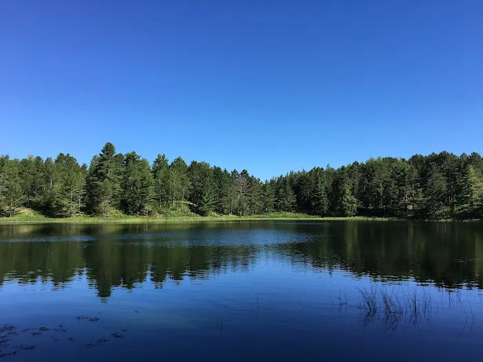 Pretty Lake State Forest Campground Picture 8