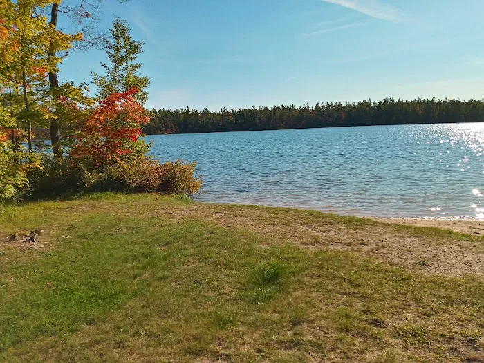 Pretty Lake State Forest Campground Picture 1