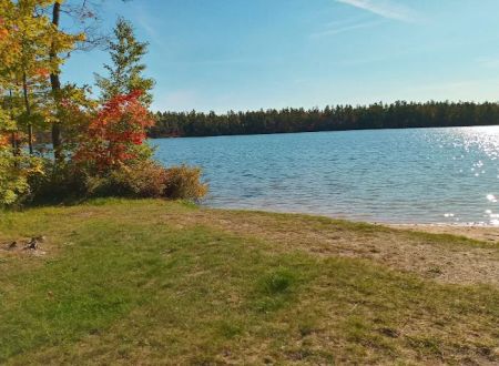 Pretty Lake State Forest Campground