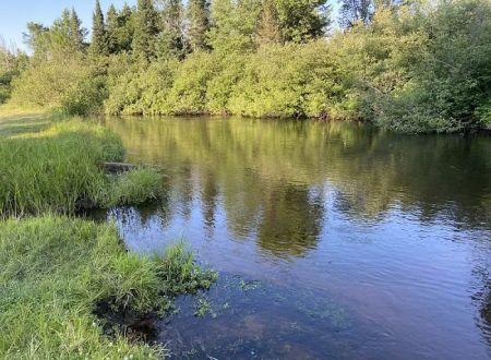 Seney Township Campground