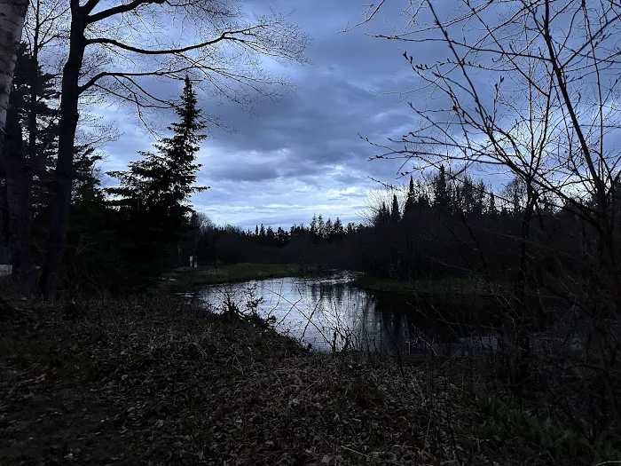 Seney Township Campground Picture 8
