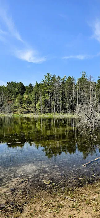 Holland Lake State Forest Campground Picture 1