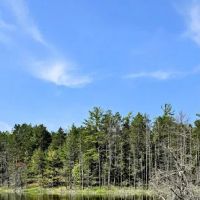 Holland Lake State Forest Campground ico